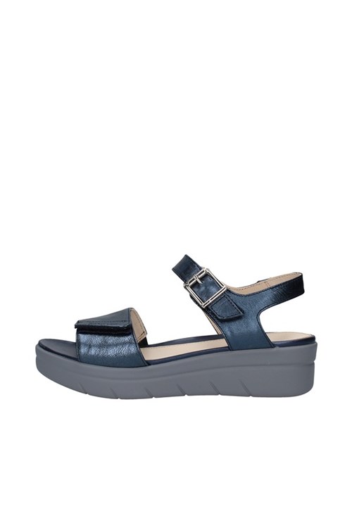 Stonefly With wedge BLUE