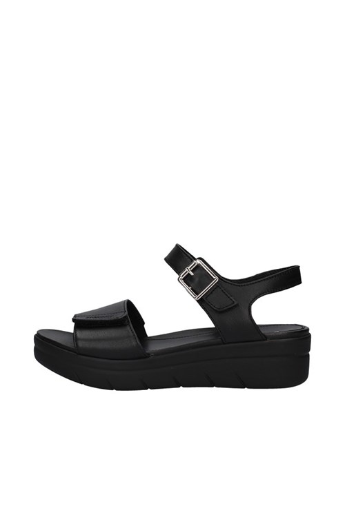 Stonefly With wedge BLACK