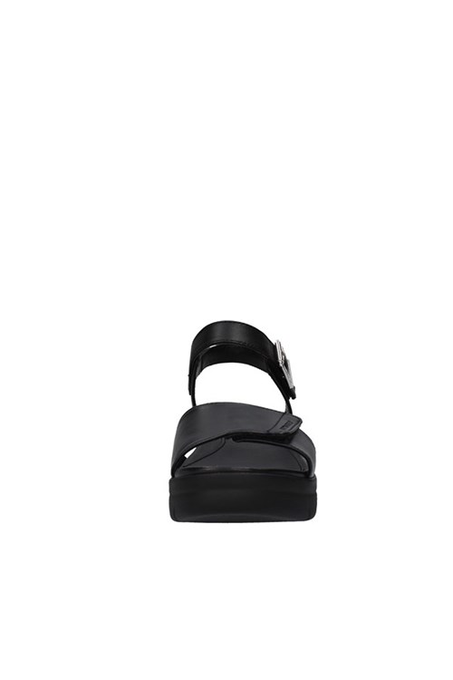 Stonefly With wedge BLACK
