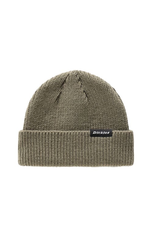 Dickies Beanie GREEN