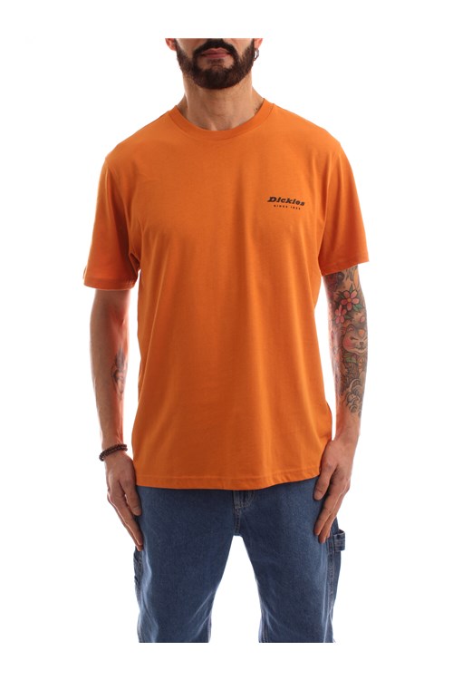 Dickies Short sleeve YELLOW