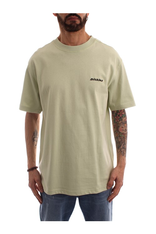 Dickies Short sleeve GREEN