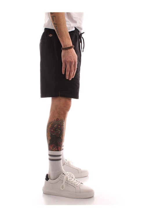 Dickies bermuda BLACK