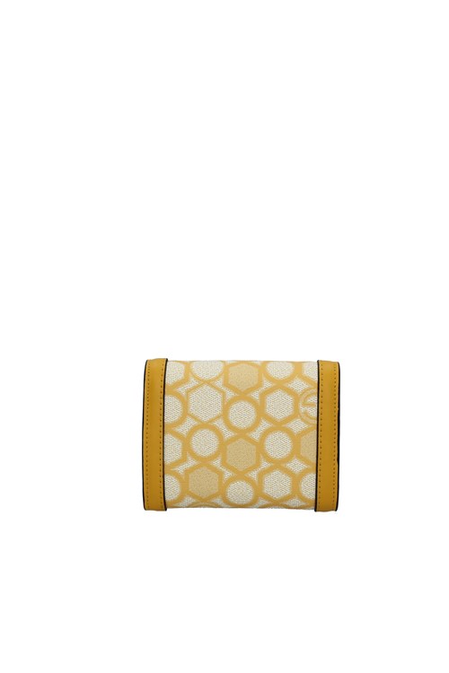 Gattinoni Roma Women's Wallets YELLOW