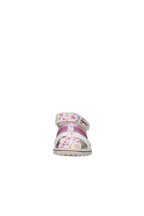 Primigi Netherlands WHITE