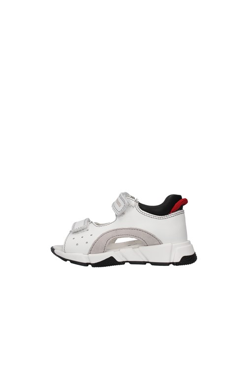Primigi Netherlands WHITE