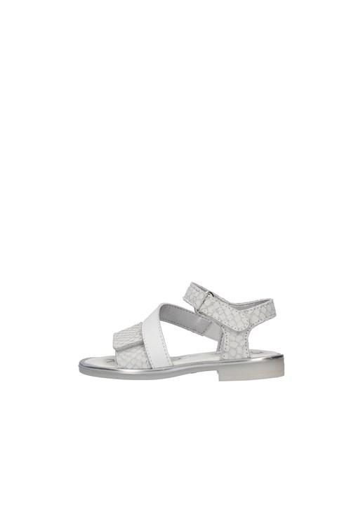 Primigi Netherlands WHITE