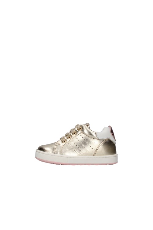 Balducci low GOLD