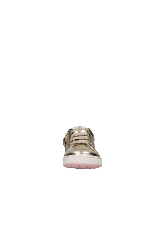 Balducci low GOLD