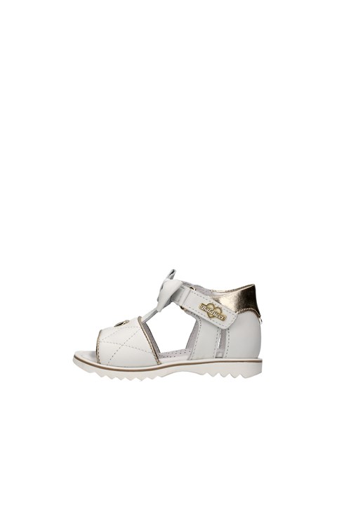 Balducci Netherlands WHITE