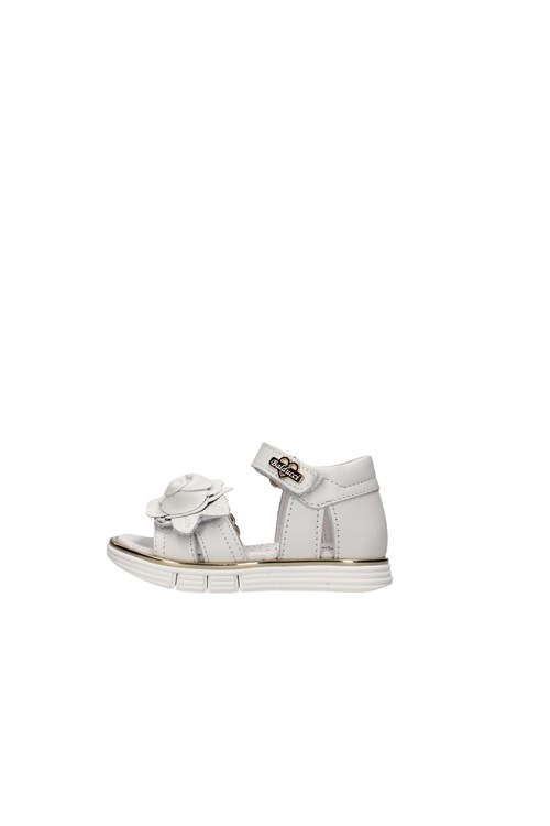 Balducci Netherlands WHITE