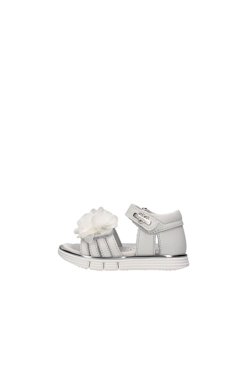 Balducci Netherlands WHITE