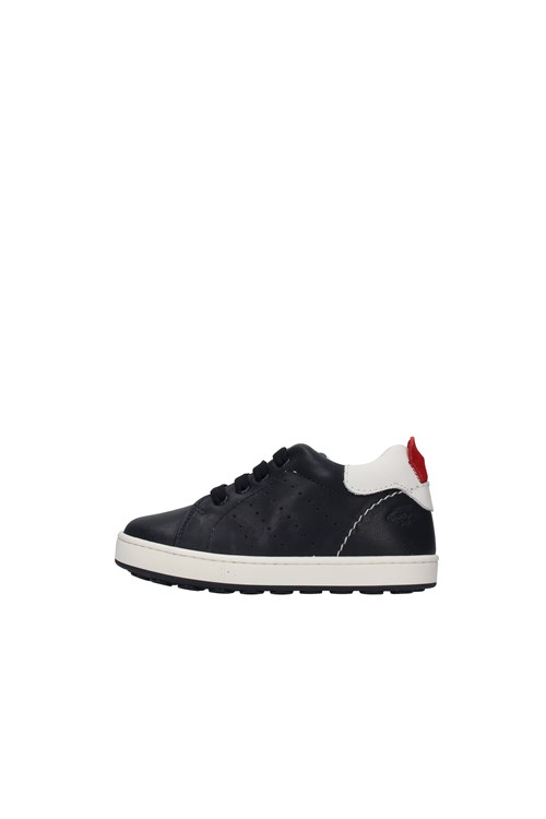 Balducci low BLUE