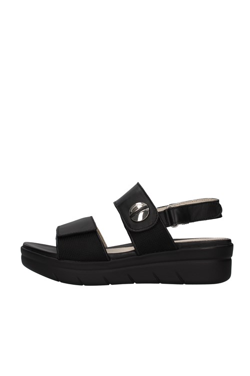 Stonefly With wedge BLACK