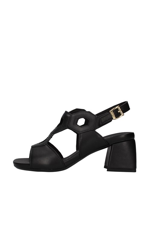 Stonefly With heel BLACK