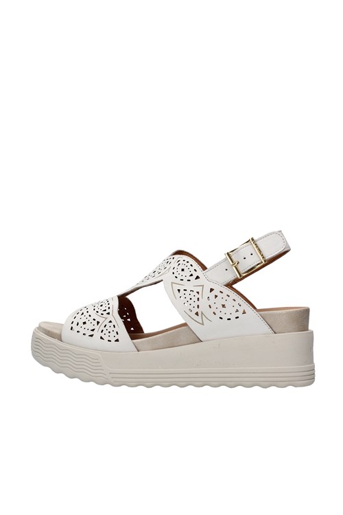 Stonefly With wedge WHITE