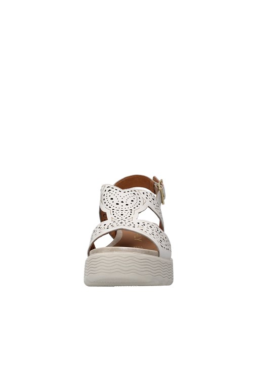 Stonefly With wedge WHITE
