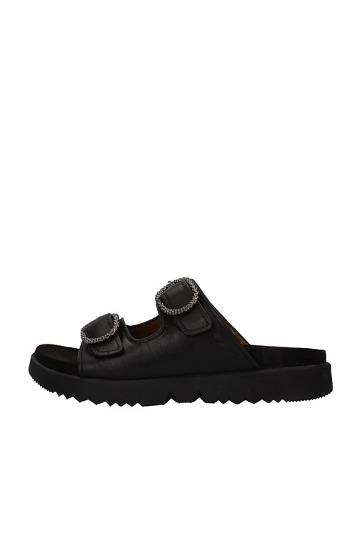 Stonefly Netherlands BLACK