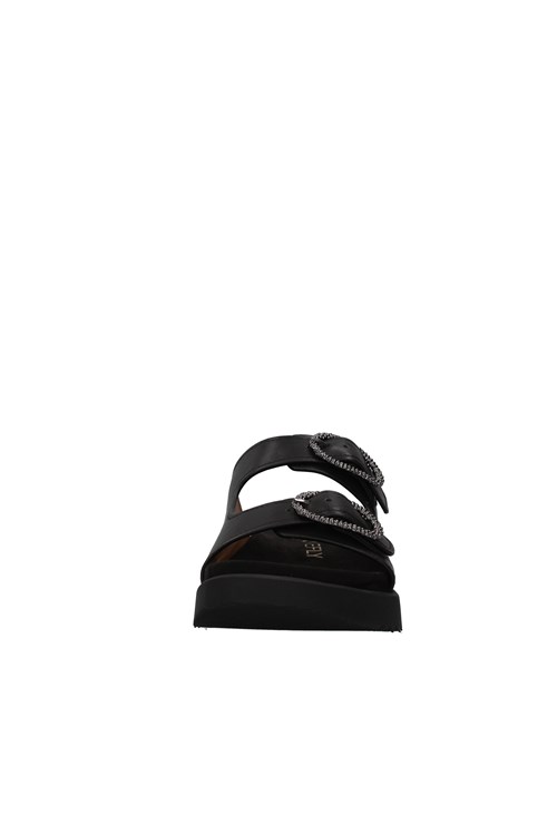 Stonefly Netherlands BLACK