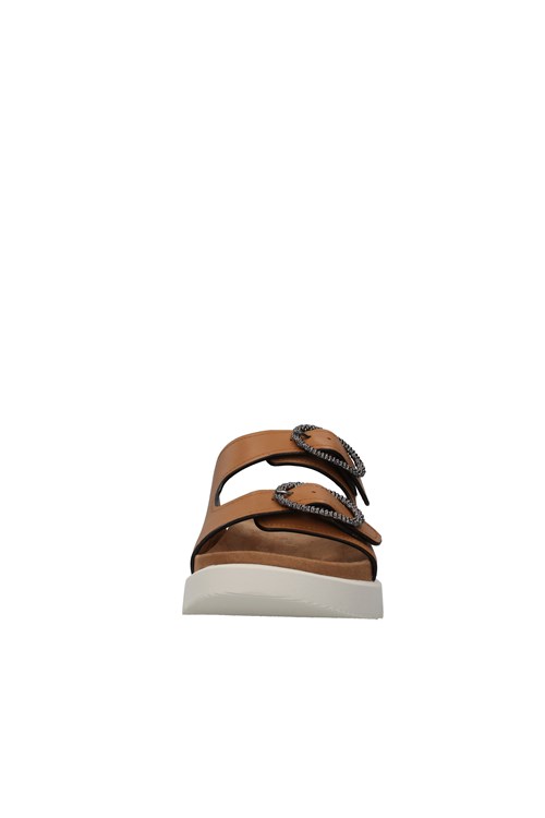 Stonefly Netherlands BROWN