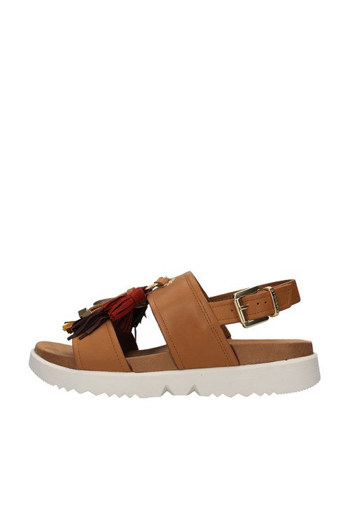 Stonefly Netherlands BROWN