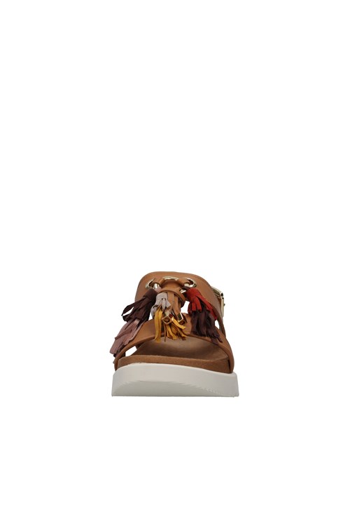 Stonefly Netherlands BROWN