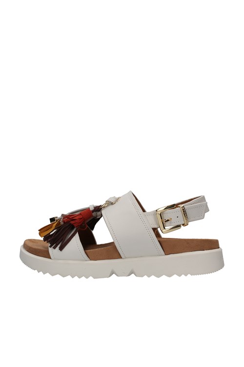 Stonefly Netherlands WHITE