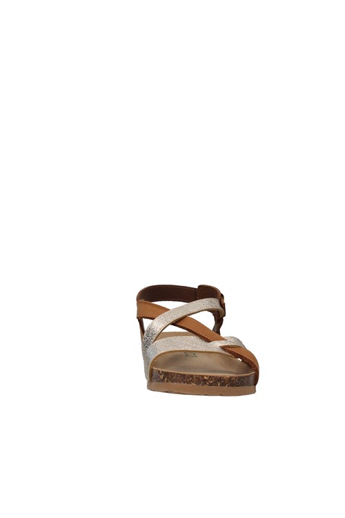 Bionatura With wedge GOLD
