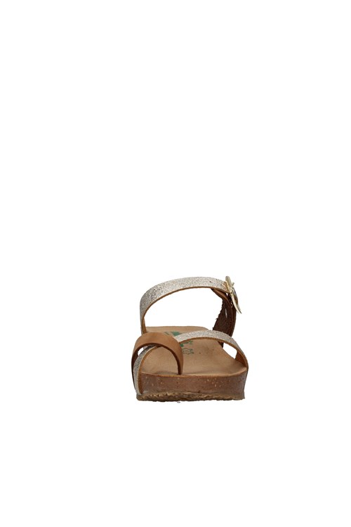 Bionatura With wedge GOLD