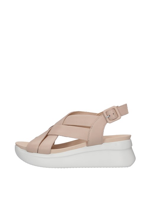 Callaghan With wedge PINK