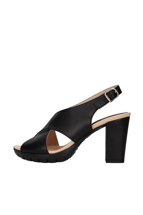 Callaghan With heel BLACK