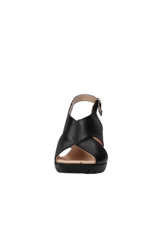 Callaghan With heel BLACK