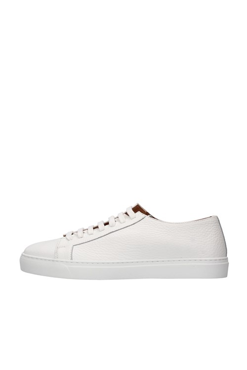 Rossano Bisconti low WHITE