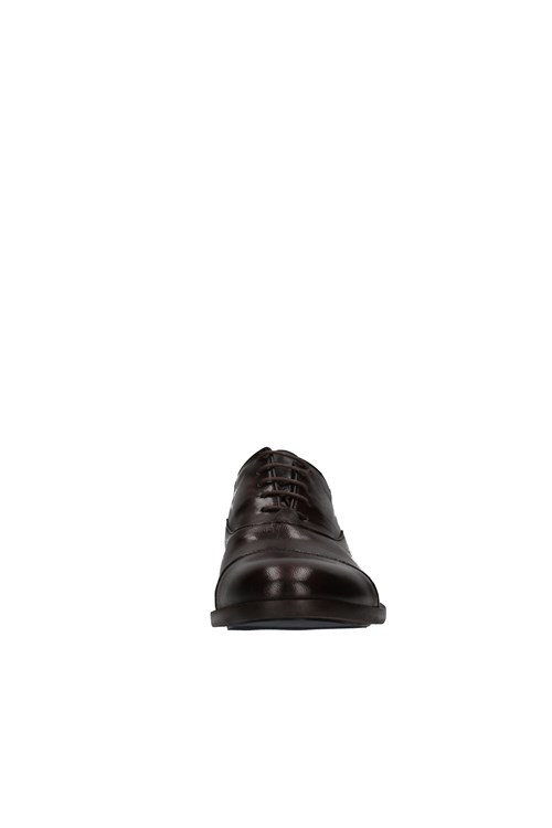 Re Blu' Derby BROWN