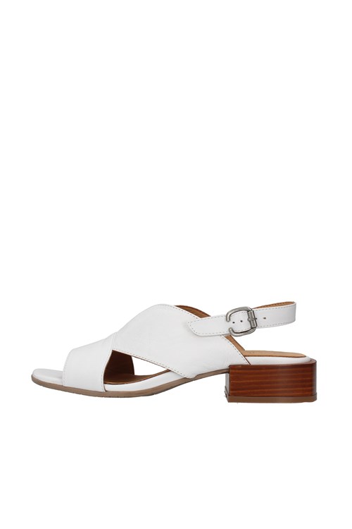 Bueno With heel WHITE