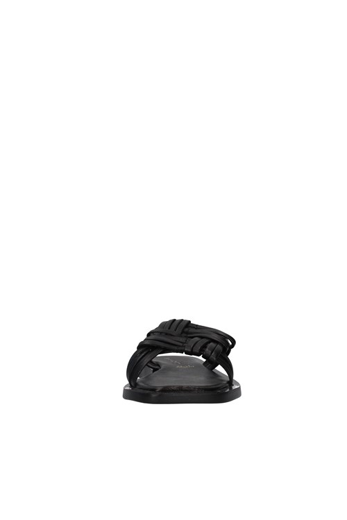 Shaddy Netherlands BLACK