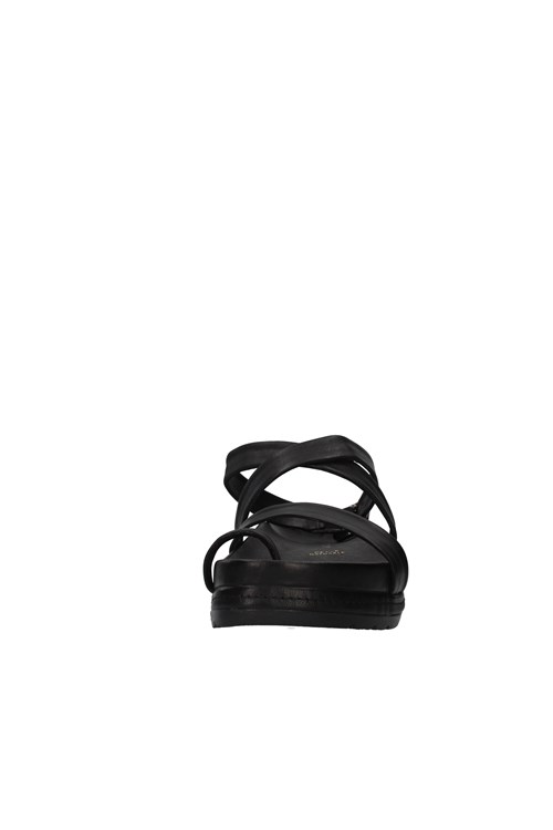 Shaddy With wedge BLACK
