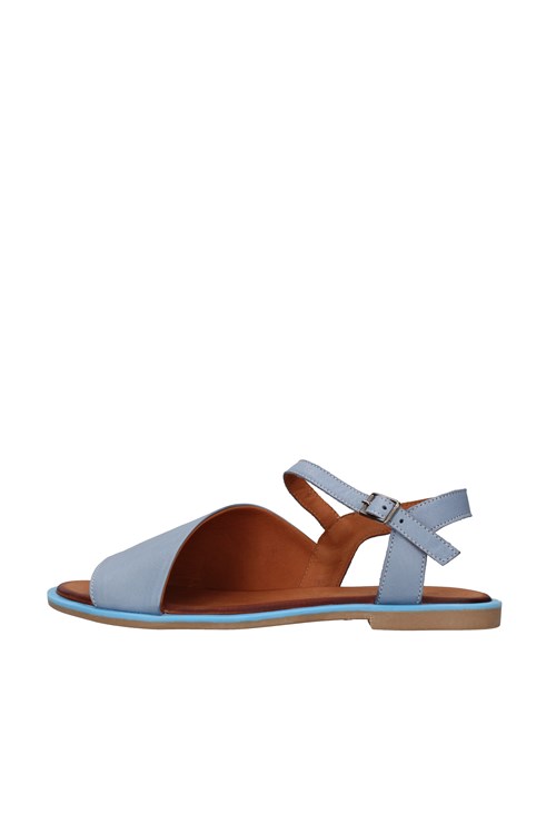 Shaddy Netherlands BLUE