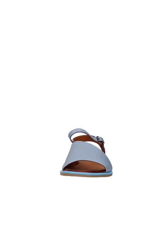 Shaddy Netherlands BLUE