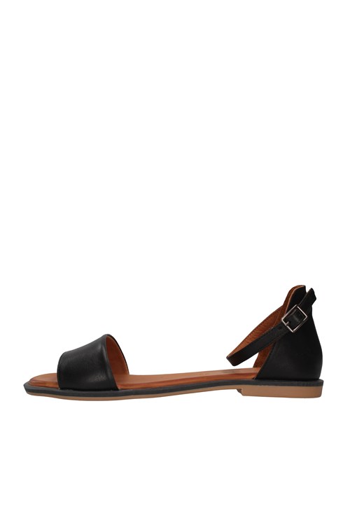 Shaddy Netherlands BLACK