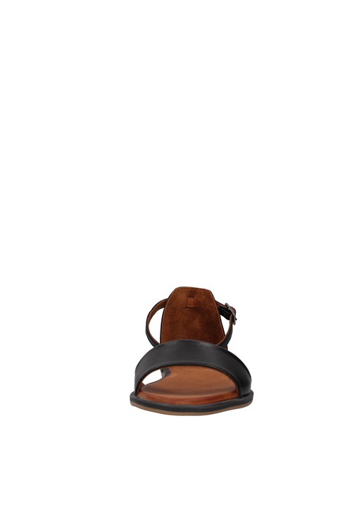 Shaddy Netherlands BLACK