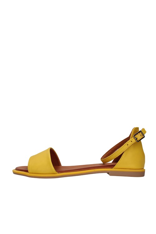 Shaddy Netherlands YELLOW
