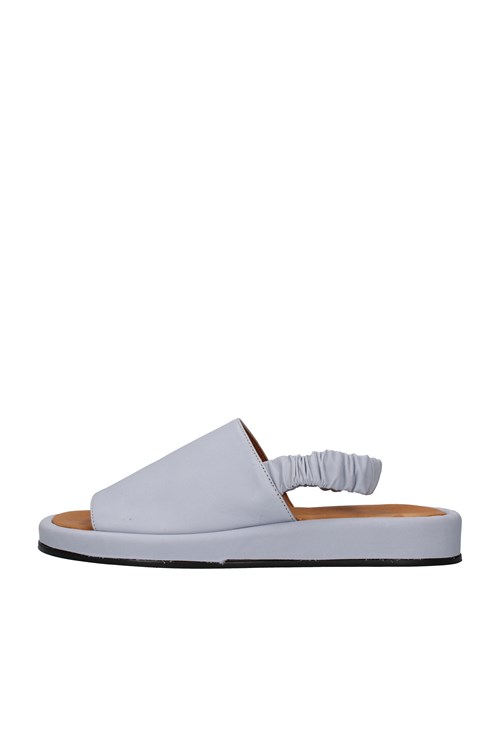 Shaddy Netherlands BLUE