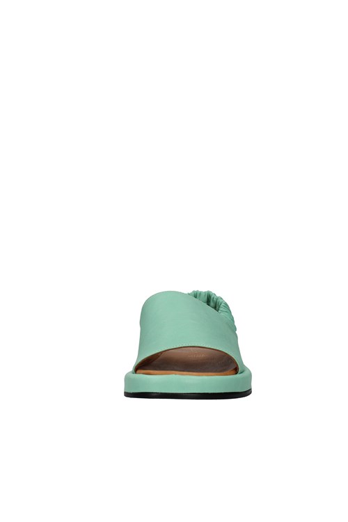 Shaddy Netherlands GREEN
