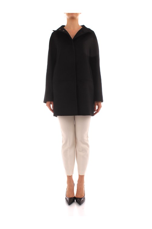 Maxmara Studio Short BLACK