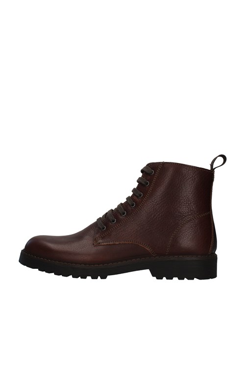 Igi&co Amphibians BROWN
