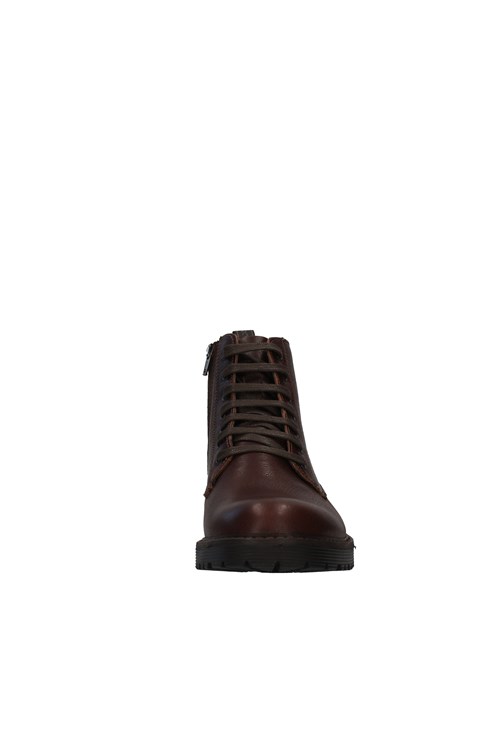 Igi&co Amphibians BROWN