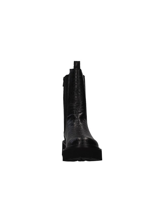 Cult Amphibians BLACK