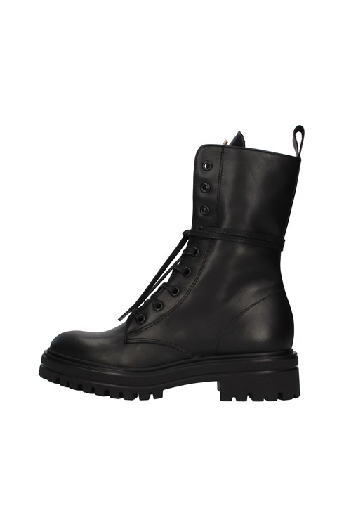 Vsl Amphibians BLACK