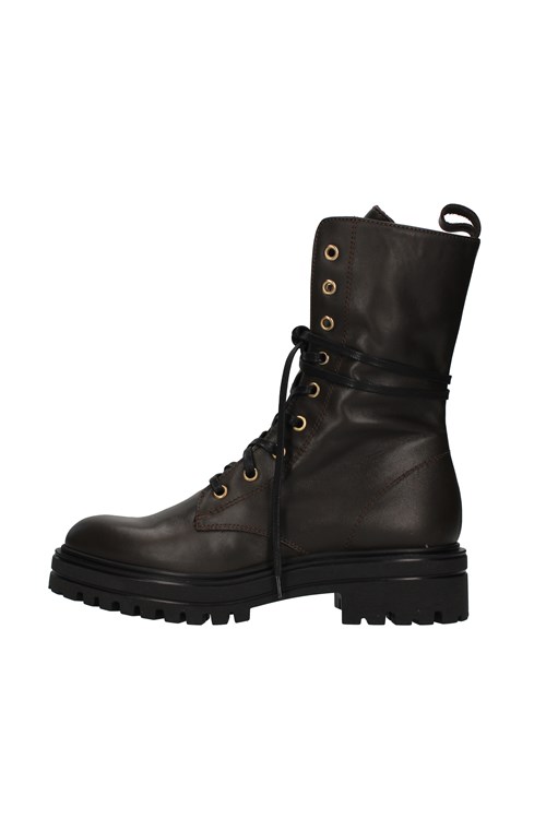Vsl Amphibians BROWN
